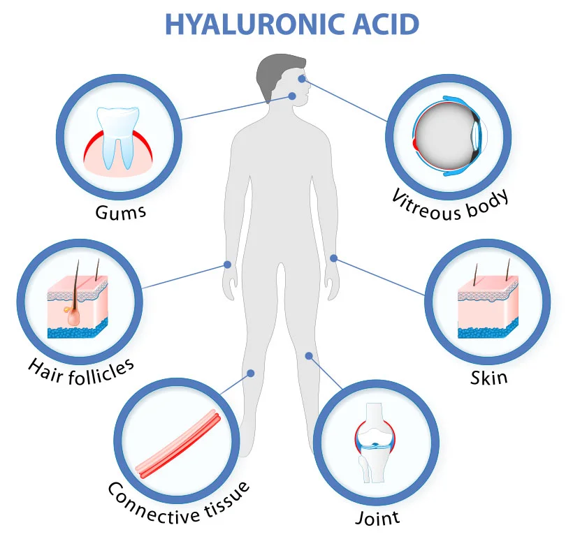 7 Best Acids for Your Skincare 1 image of Hyaluronic Acid for skin treatment in Plantation Florida