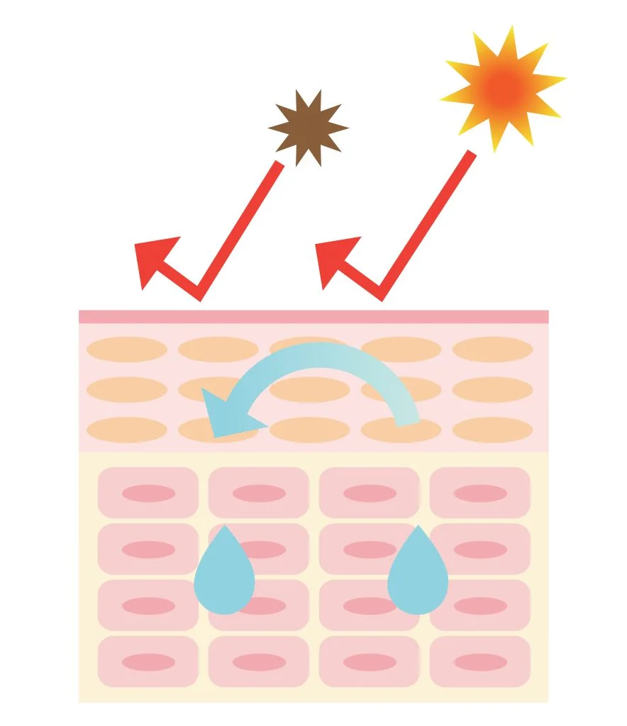 7 Best Acids for Your Skincare 3 image of fatty acide treatment in Plantation Florida
