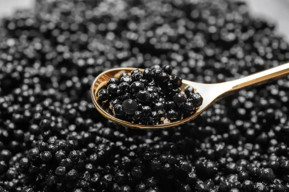 Facials for Men: Our Top 5 Picks at Plantation, Florida? 1 WILD CAVIAR RESTORATION treatment image at Plantation Med Spa in Florida